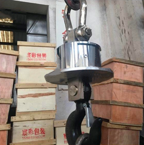 3噸無(wú)線(xiàn)耐高溫吊秤