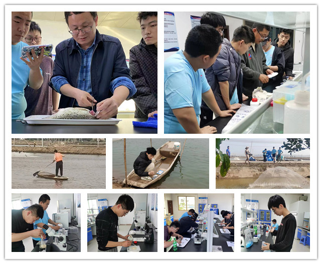 1680228479123523.jpg 16.jpg