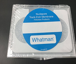 Whatman Anopore無(wú)機膜(氧化鋁膜)
