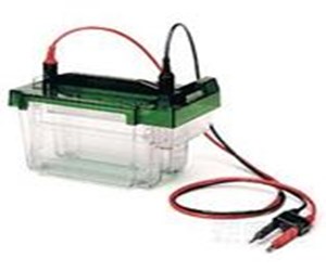 伯樂(lè )中型垂直電泳槽BIO-RAD Criterion Cell 165-6001