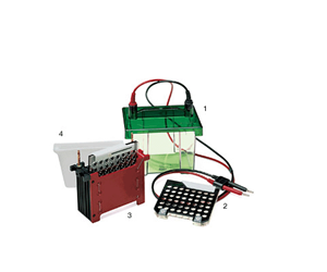 伯樂(lè )Mini Trans-Blot 轉印槽Biorad Mini Trans-Blot Cell 170-3930