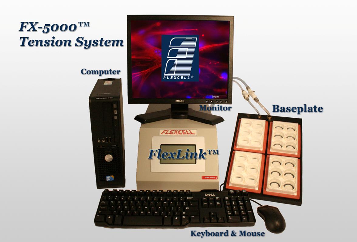 FX-5000TT三維細胞播種凝膠創(chuàng  )建和細胞播種凝膠單軸向拉伸系統