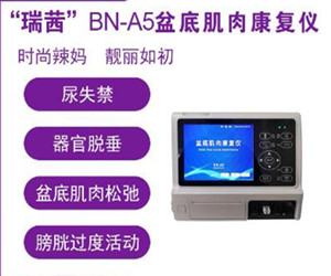 瑞茜BN-A5智能語(yǔ)音播報盆底肌康復儀