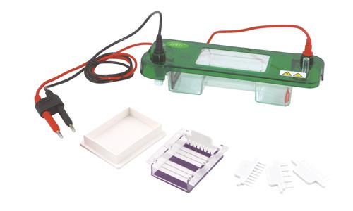 伯樂(lè )BIO-RAD Criterion 電泳槽165-6019