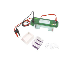 伯樂(lè )小型垂直電泳槽（Biorad Mini-PROTEAN Tetra Electrophoresis System）1