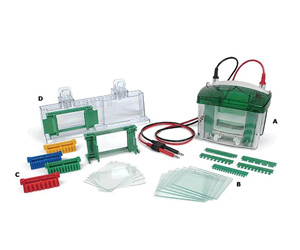 Bio-rad Trans-Blot Cell伯樂(lè )Trans-Blot 轉印槽 170-3939
