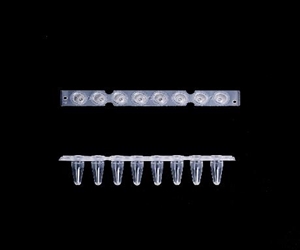0.2ml八聯(lián)排PCR管，光學(xué)平蓋，透明，科進(jìn)/KIRGEN