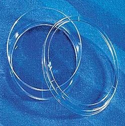 康寧/Corning430166細胞培養皿(60mm) TC處理，無(wú)菌