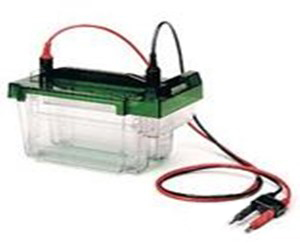 伯樂(lè )BIO-RAD Criterion Cell 中型垂直電泳槽165-6019