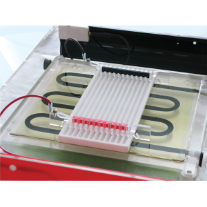 英國Cleaver)蛋白質(zhì)雙向電泳系統等電聚焦與第二維電泳-CSL-IEF-KIT-MAXIPLUS