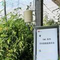  現代農業(yè)日光溫室智能自動(dòng)監測系統 氣象站