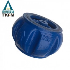 泰流科技（TKFM）手動(dòng)軟密封鑄鐵對夾止回閥H71X-10/16Q