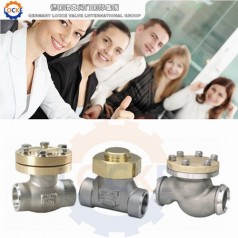 進(jìn)口LNG液化天然氣止回閥性能參數,報價(jià)/價(jià)格,圖片