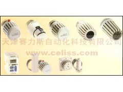 德國B(niǎo)RAUKMANN止回閥