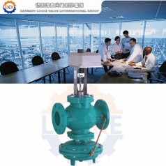 進(jìn)口動(dòng)態(tài)平衡電動(dòng)調節閥性能參數,報價(jià)/價(jià)格,圖片