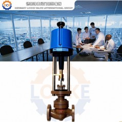 進(jìn)口電子式電動(dòng)調節閥性能參數,報價(jià)/價(jià)格,圖片