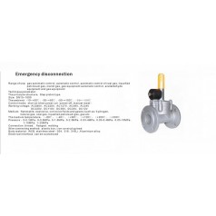 進(jìn)口低壓緊急切斷電磁閥（通電關(guān)閉、手動(dòng)打開(kāi)）