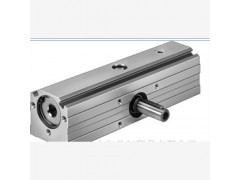 festo電磁閥&FESTO齒輪擺動(dòng)驅動(dòng)器 SLS-6-10-P-A
