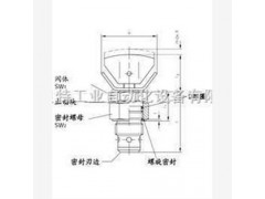 CAV型節流截止閥德國哈威hawe價(jià)格 MV-63E 0-160