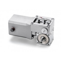 mini motor 無(wú)端螺旋齒輪馬達BC2000 12-24MP系列