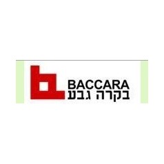 以色列BACCARA線(xiàn)圈