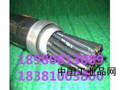 翌達電線(xiàn)YJV223*10+1*6平方VV銅芯硬護套線(xiàn)