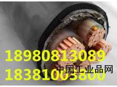 廠(chǎng)家批發(fā)YJV22/3*50銅芯高壓交聯(lián)電纜