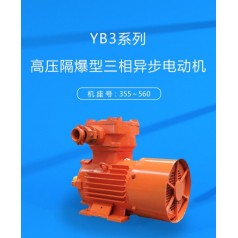 YB3系列高壓隔爆型三相異步電動(dòng)機
