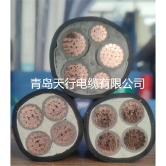 濰坊建筑工程用銅芯低壓電纜YJV 國標線(xiàn)纜 天行生產(chǎn)供應