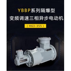 YBBP系列隔爆型變頻調速三相異步電動(dòng)機（H63-355）