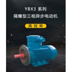 YBX3 系列高效率隔爆型三相異步電動(dòng)機