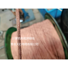 DJYVP、DJYPVP儀表信號計算機電纜生產(chǎn)廠(chǎng)家 天行品牌 生產(chǎn)定制
