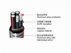 上善星 鋁合金電纜 只做精品 YJLH62-ACWU90廠(chǎng)家直銷(xiāo)