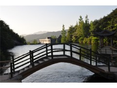 嵩縣臥龍谷景區門(mén)票特賣(mài)會(huì )