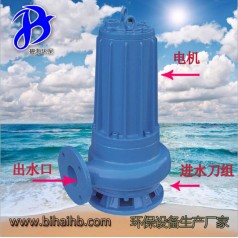 WQ0.75廠(chǎng)家直銷(xiāo)鑄鐵電動(dòng)潛水排污泵 環(huán)保污水處理泵沉淀池用泵