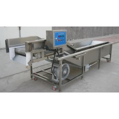 油菜氣泡清洗機，小白菜氣泡清洗機