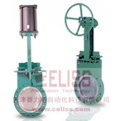 L&M Valve閥門(mén)美國