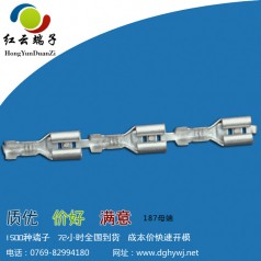 帶扣端子固定電線(xiàn)緊密可靠