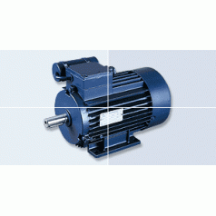德國B(niǎo)irkenbeul變 電機