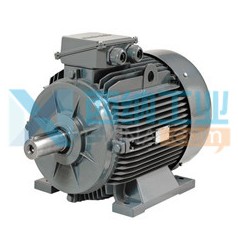 土耳其Gamak電動(dòng)機