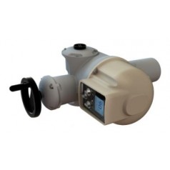 BERNARD CONTROLS 多回轉電動(dòng)執行器AT系列