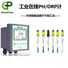 PM8200P發(fā)電廠(chǎng)水質(zhì)PH在線(xiàn)檢測儀英國GREENPRIMA