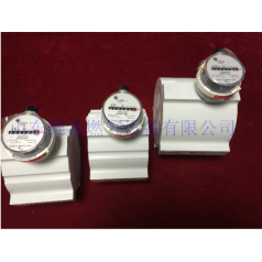 elster埃爾斯特QA燃氣表氣體渦輪流量計天然氣表Quantometer進(jìn)口