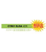 CYR61 是診斷 / 判斷乳腺癌惡化的腫瘤標志物。