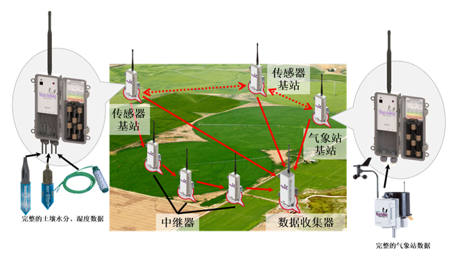 WatchDog 無(wú)線(xiàn)網(wǎng)絡(luò )監測系統