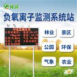 負離子檢測儀廠(chǎng)家
