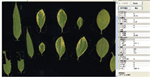 植物葉面積分析儀系統， 野外便攜式植物葉面積分析儀