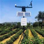 NL-GPRS-I無(wú)線(xiàn)農業(yè)氣象綜合監測站 固定式無(wú)線(xiàn)農業(yè)氣象站 農業(yè)氣象臺