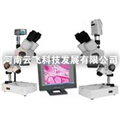 供應云飛XTZ解剖鏡及成像設備，解剖鏡及成像設備廠(chǎng)家