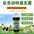 牛用益生菌價(jià)格肉牛育肥用益生菌廠(chǎng)家